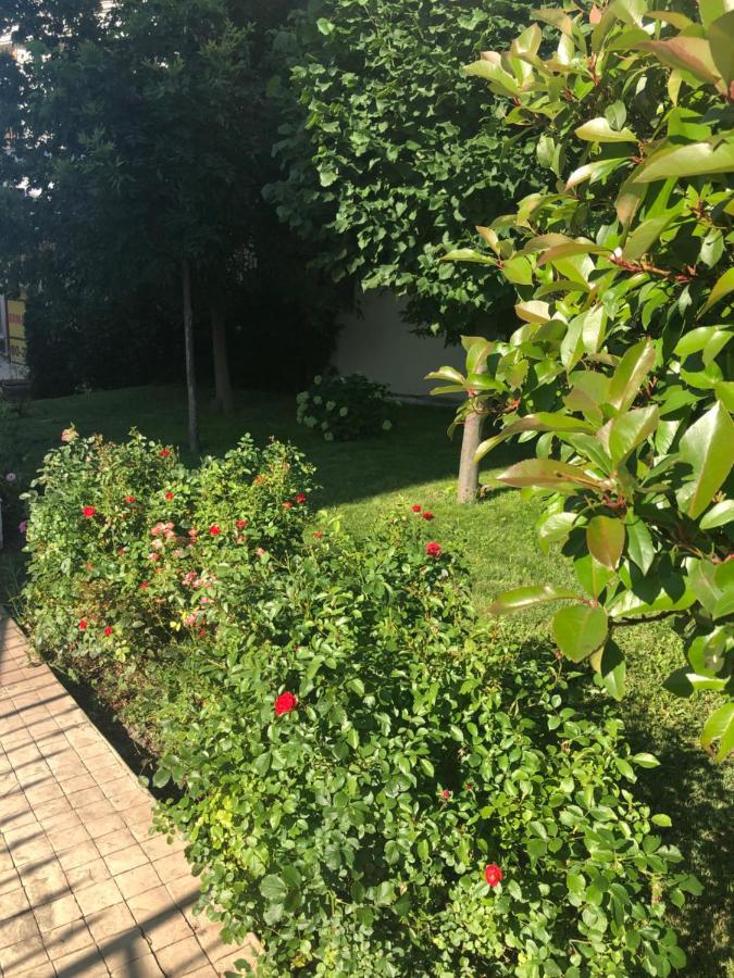 Вила Калабрия Sveti Vlas Eksteriør bilde